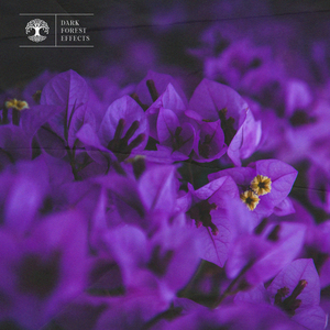 美女性爱内射在线观看
